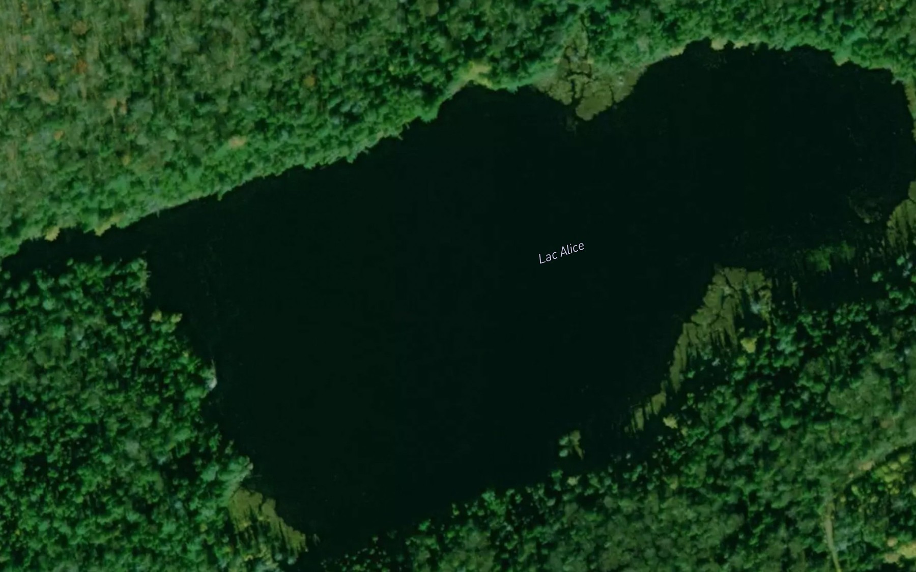 Satellite map of the Lac Alice
