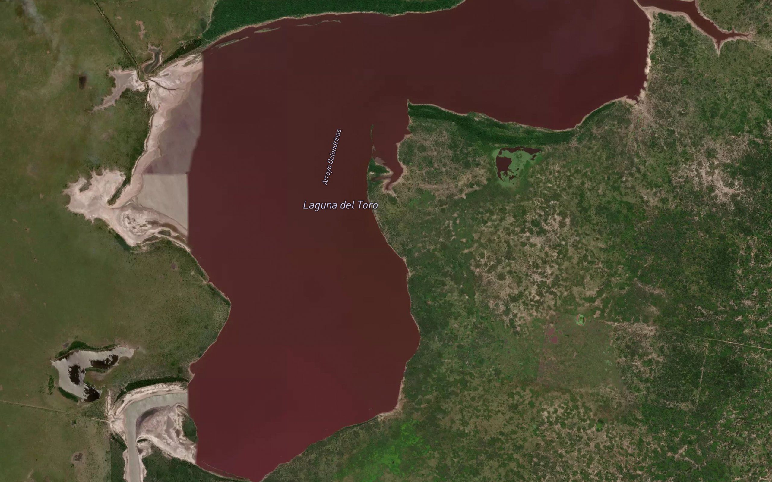 Laguna del Toro