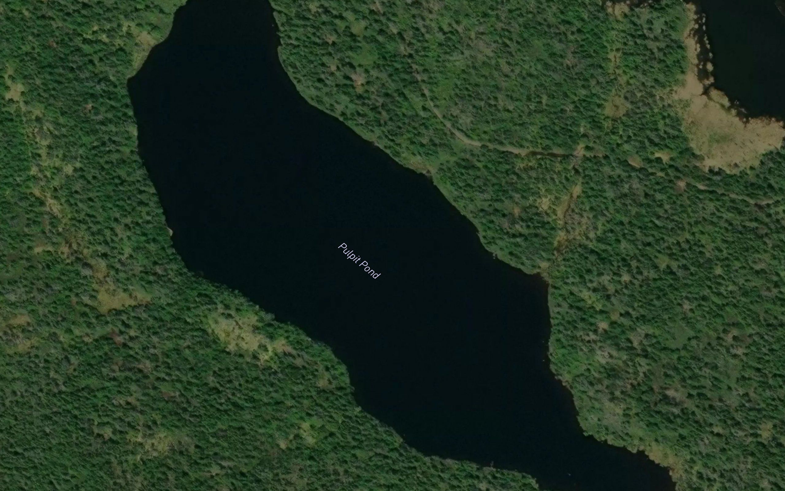 Pulpit Pond