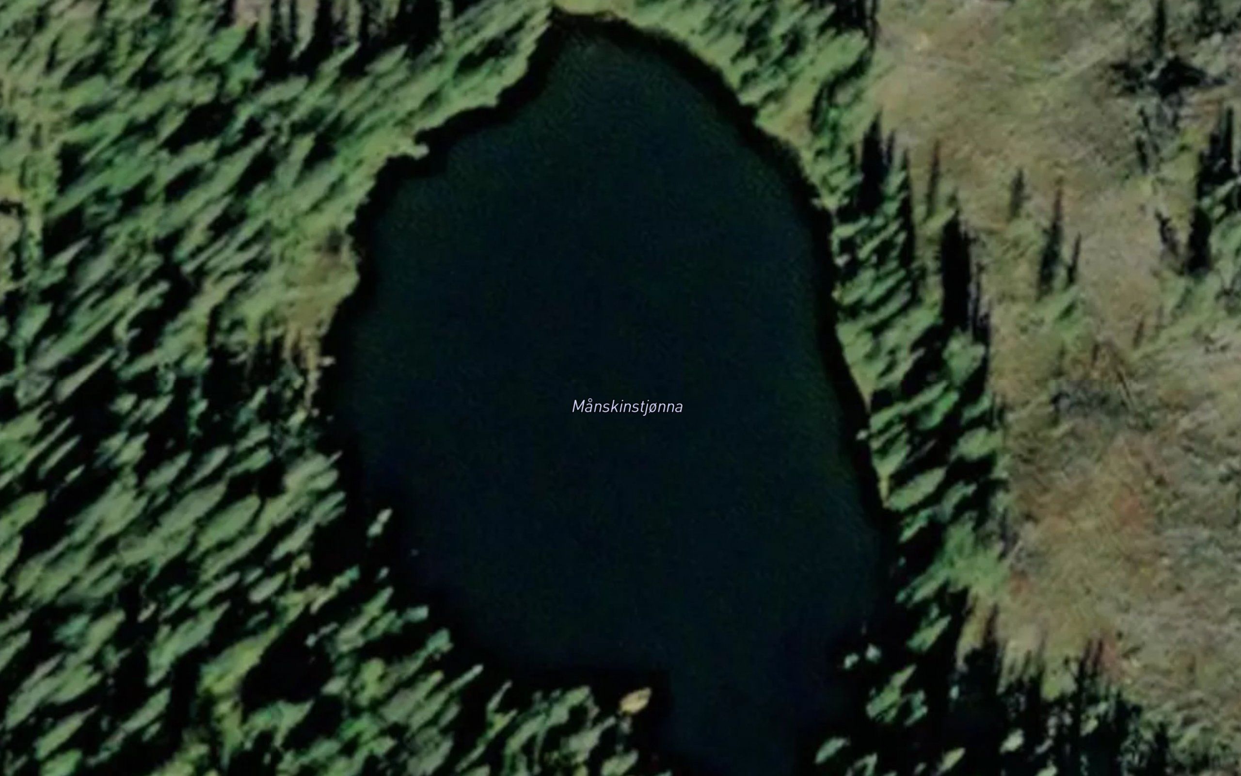 Maneskinstjorna