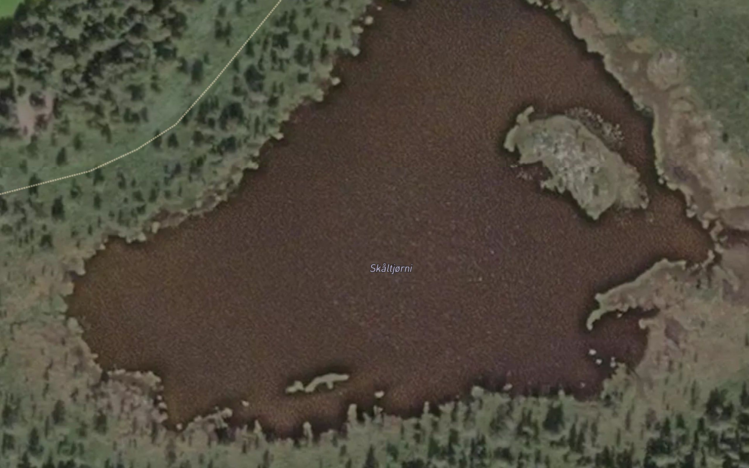 Skaltjonne