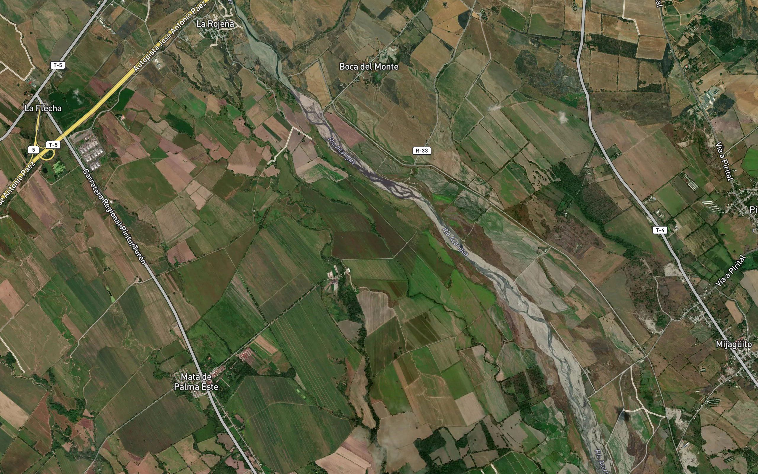 Cano Garrapata
