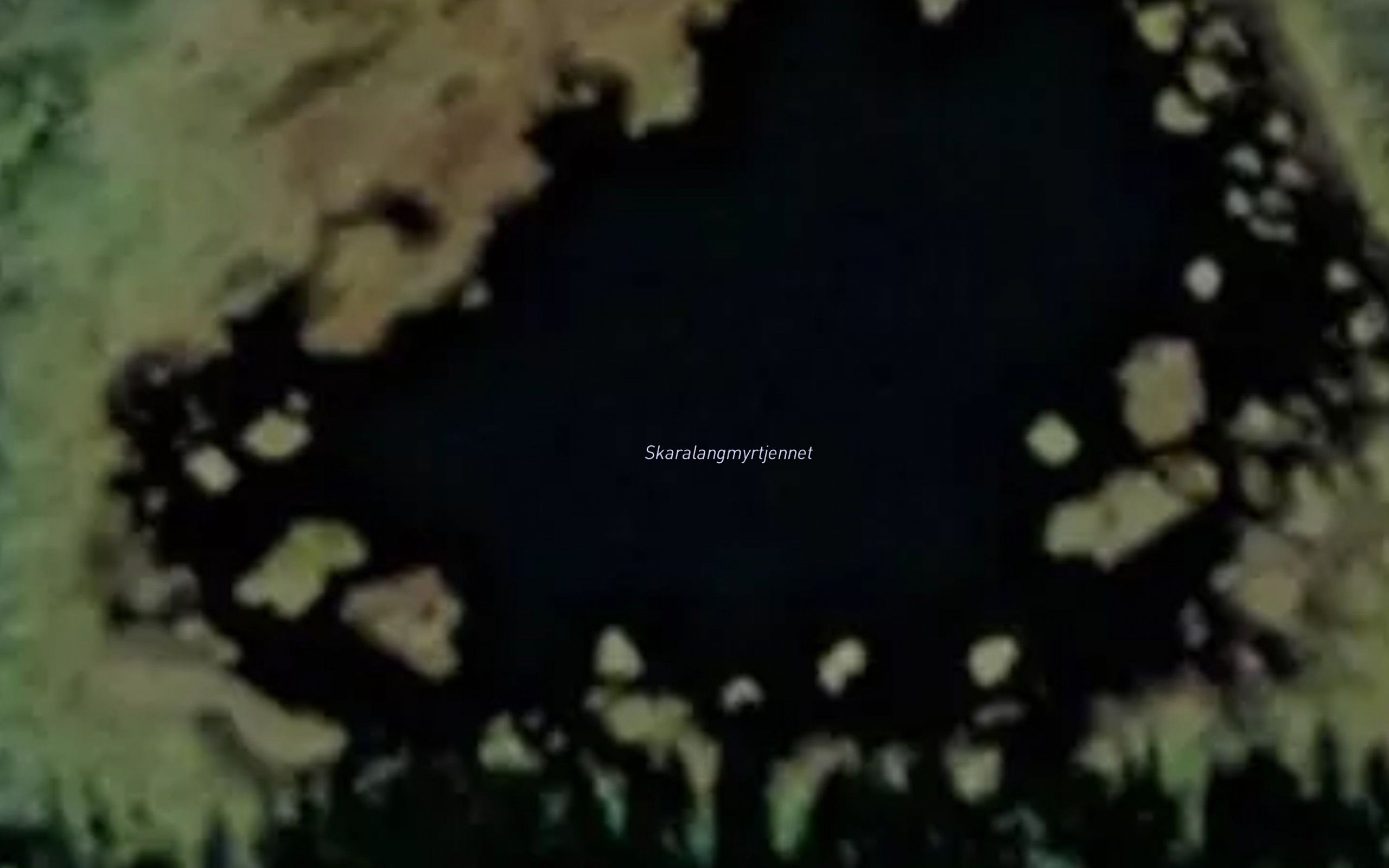 Skaralangmyrtjennet