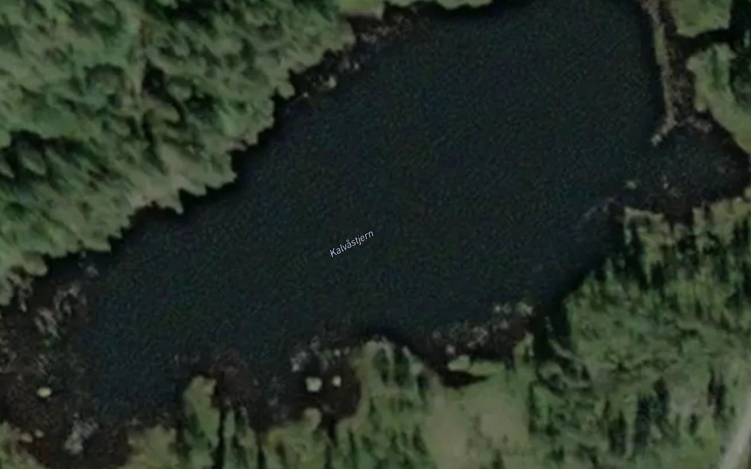 Kalvastjern