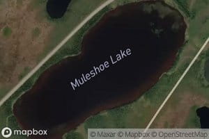 Muleshoe Lake