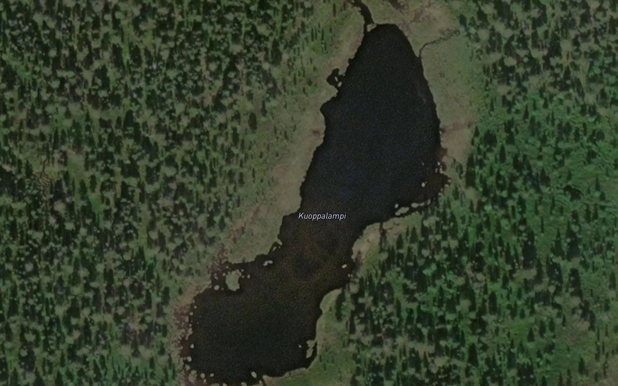 Kuoppalampi