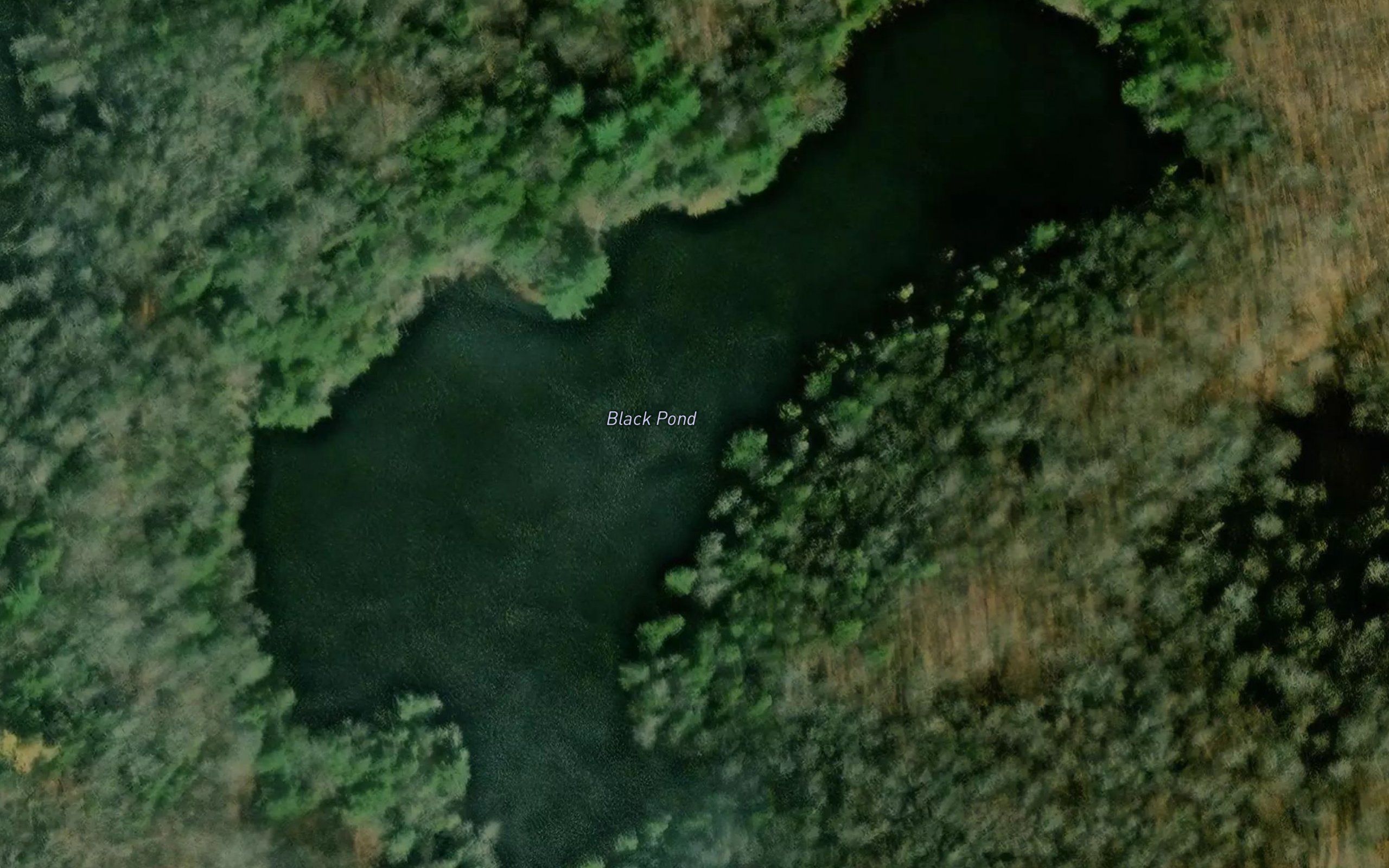 Black Pond