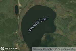 Amoeba Lake