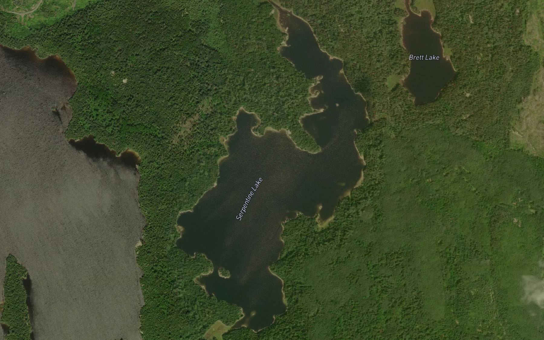 Satellite map of the Serpentine Lake