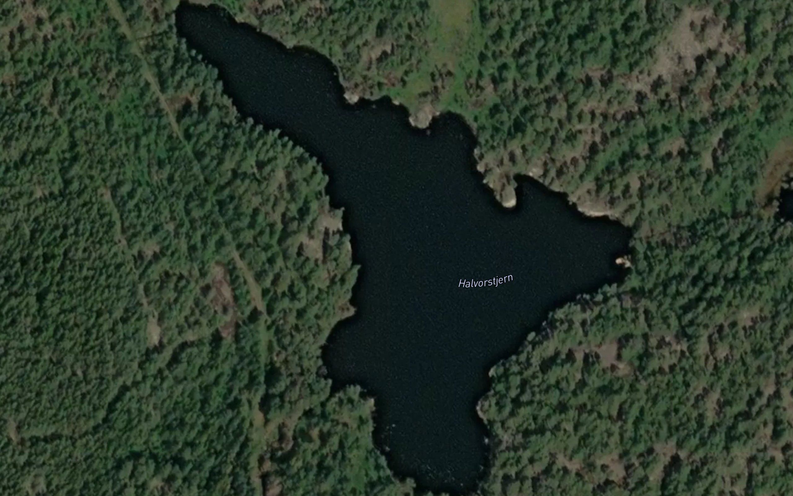Halvortjern