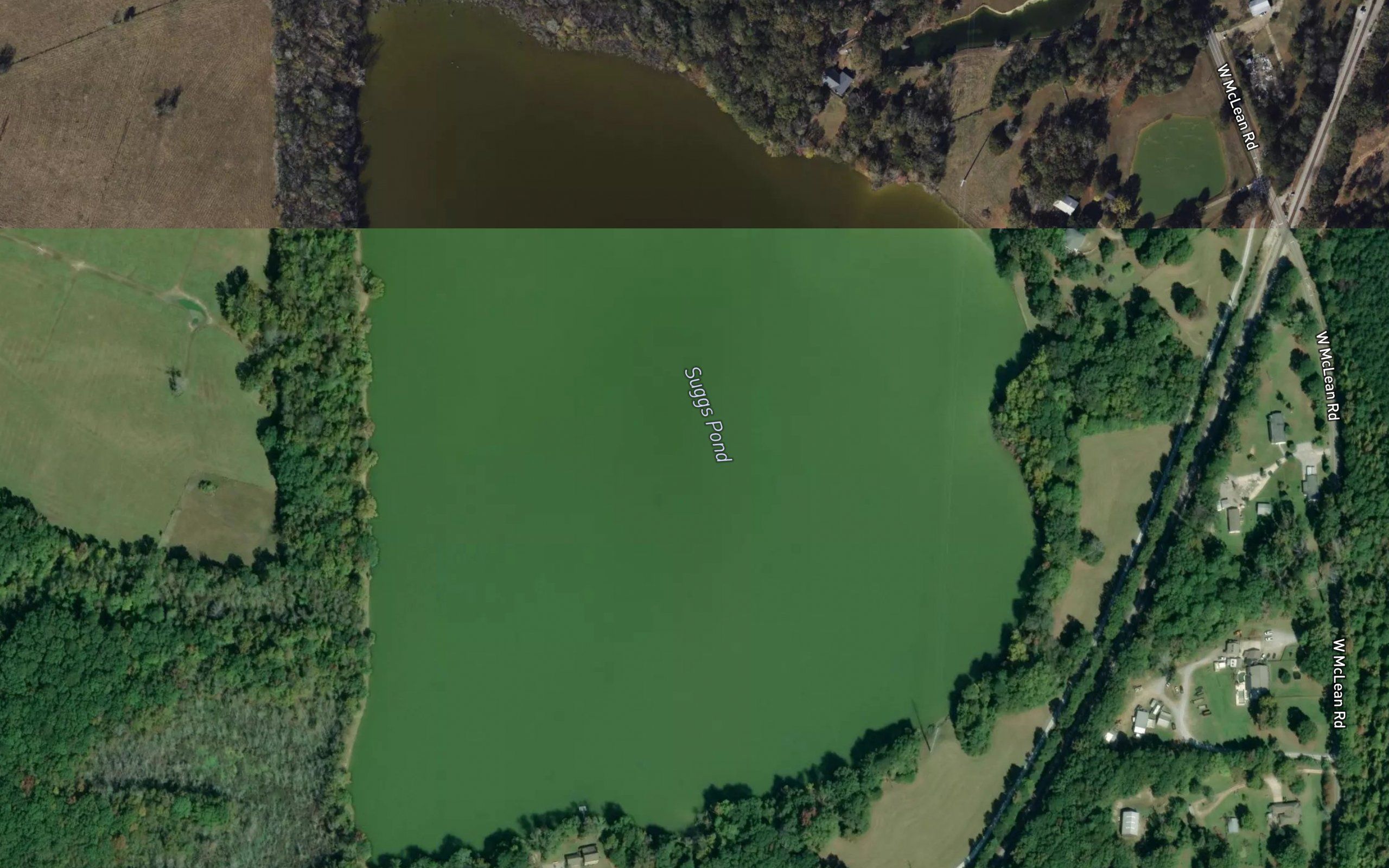 Suggs Pond