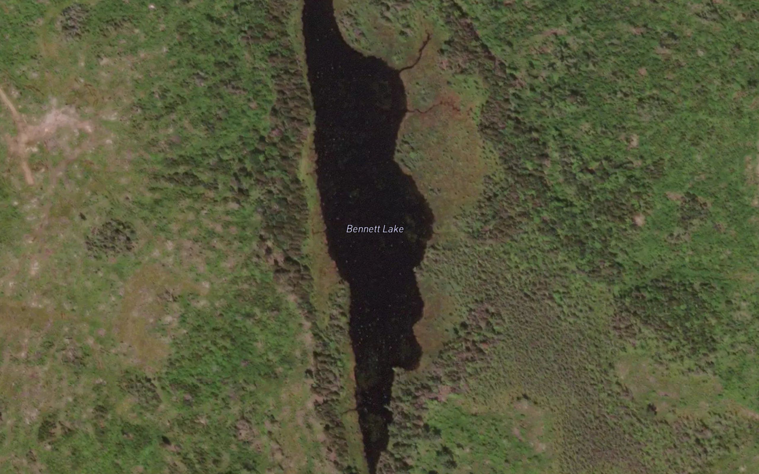 Bennett Lake