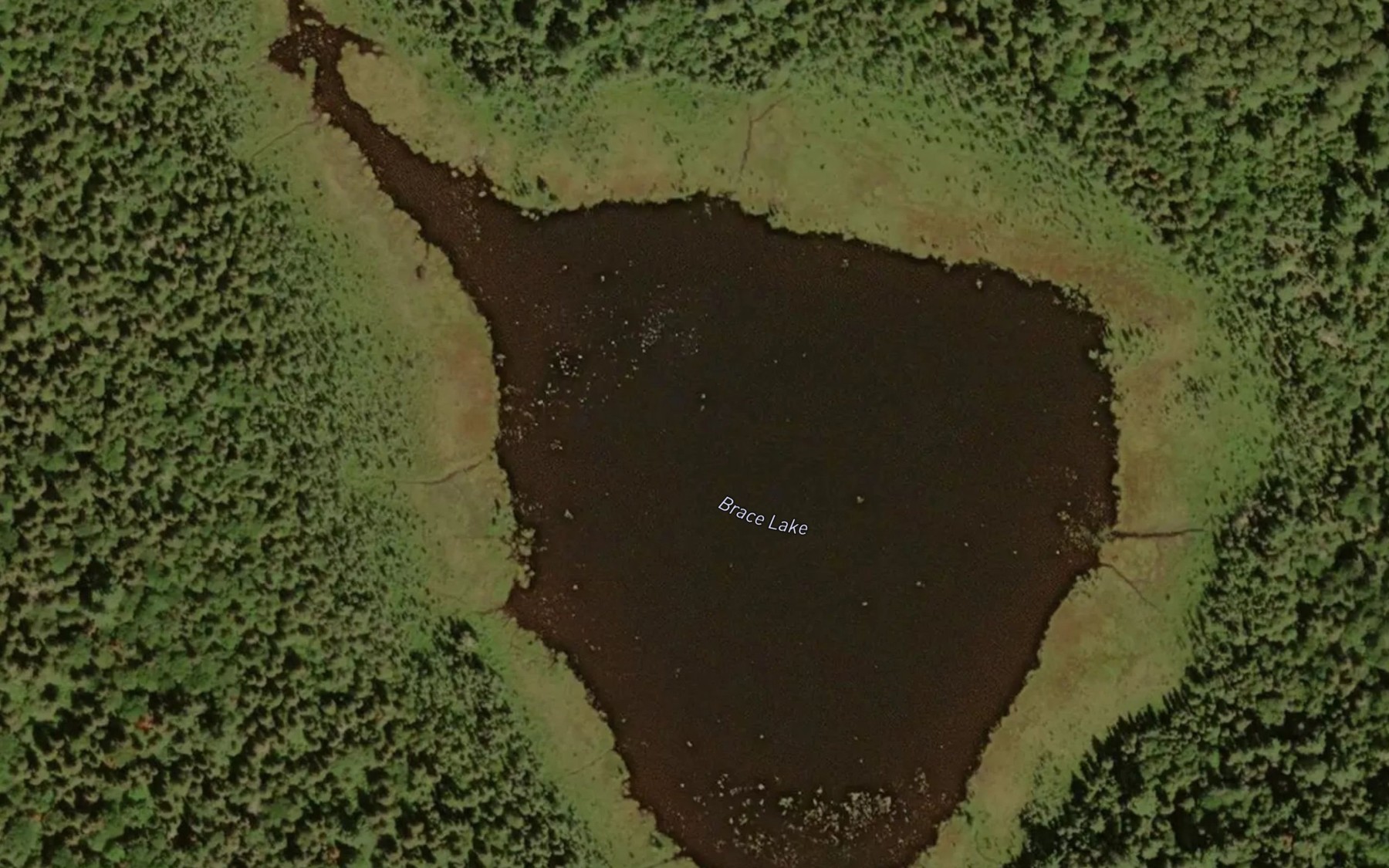Satellite map of the Brace Lake
