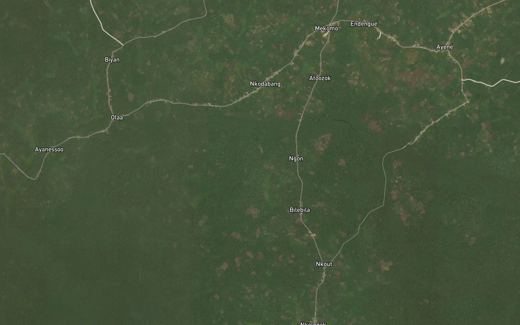 Satellite map of the Ongbwa