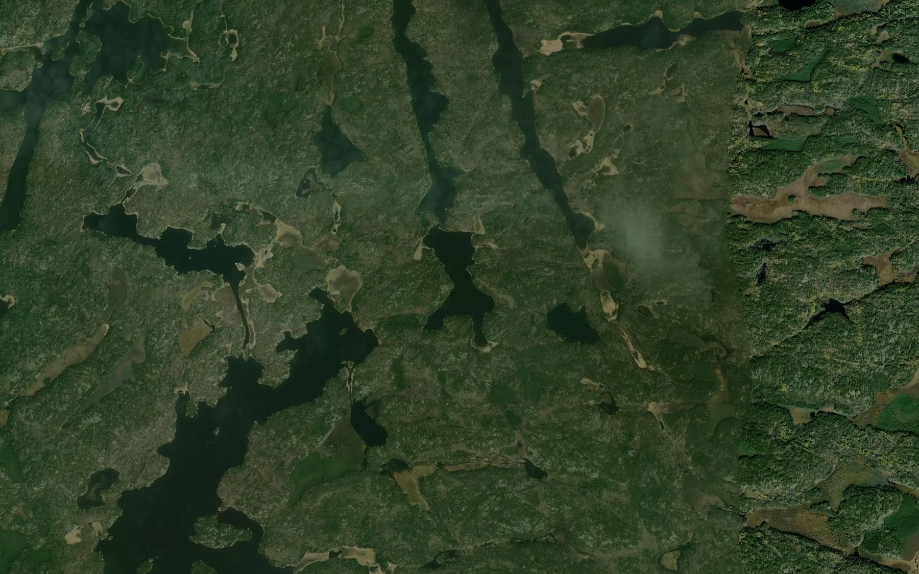 Satellite map of the Buck Lake