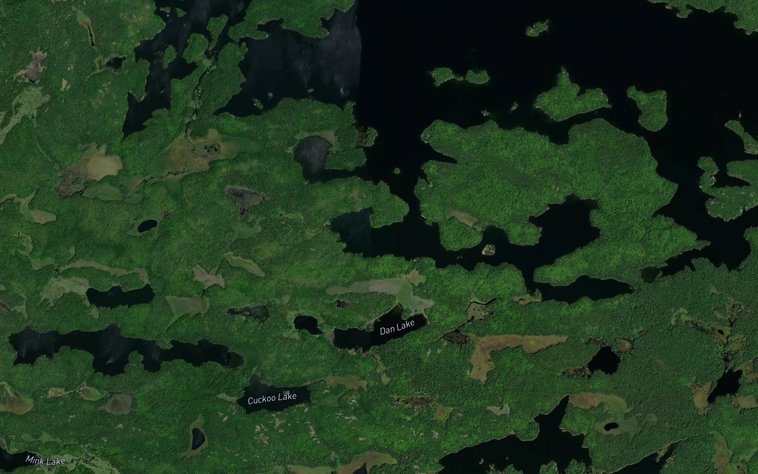 Brown's Bay