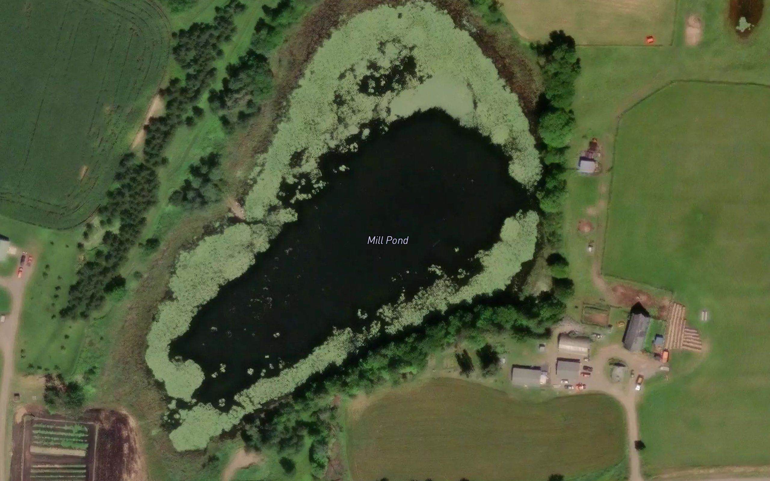 Mill Pond