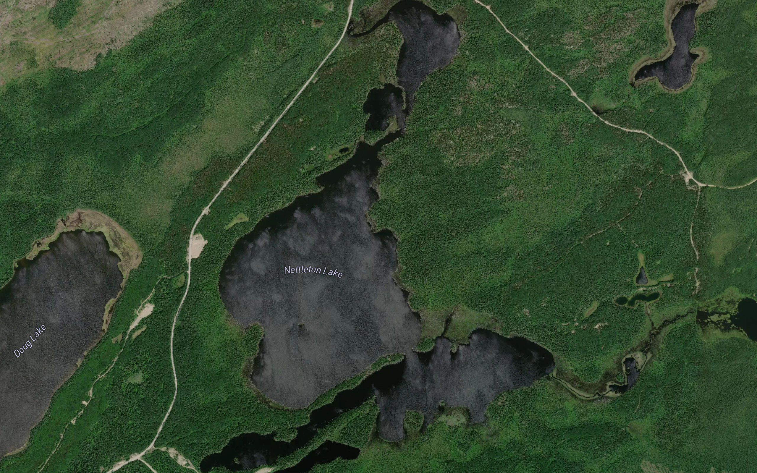 Nettleton Lake