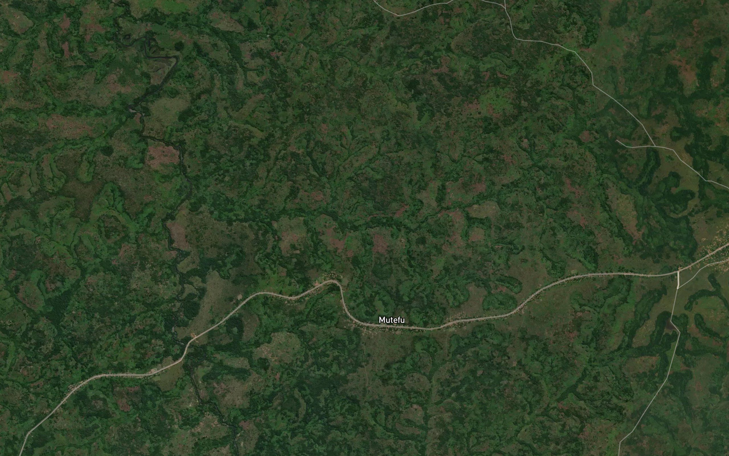 Mukula