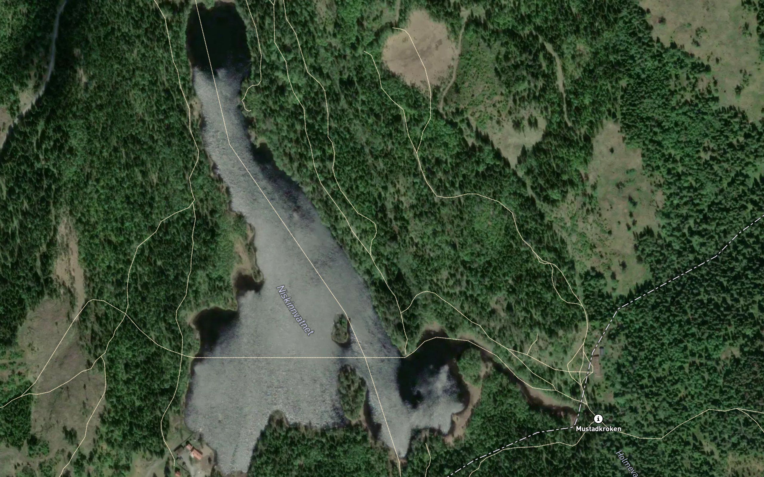 Niskinnvannet