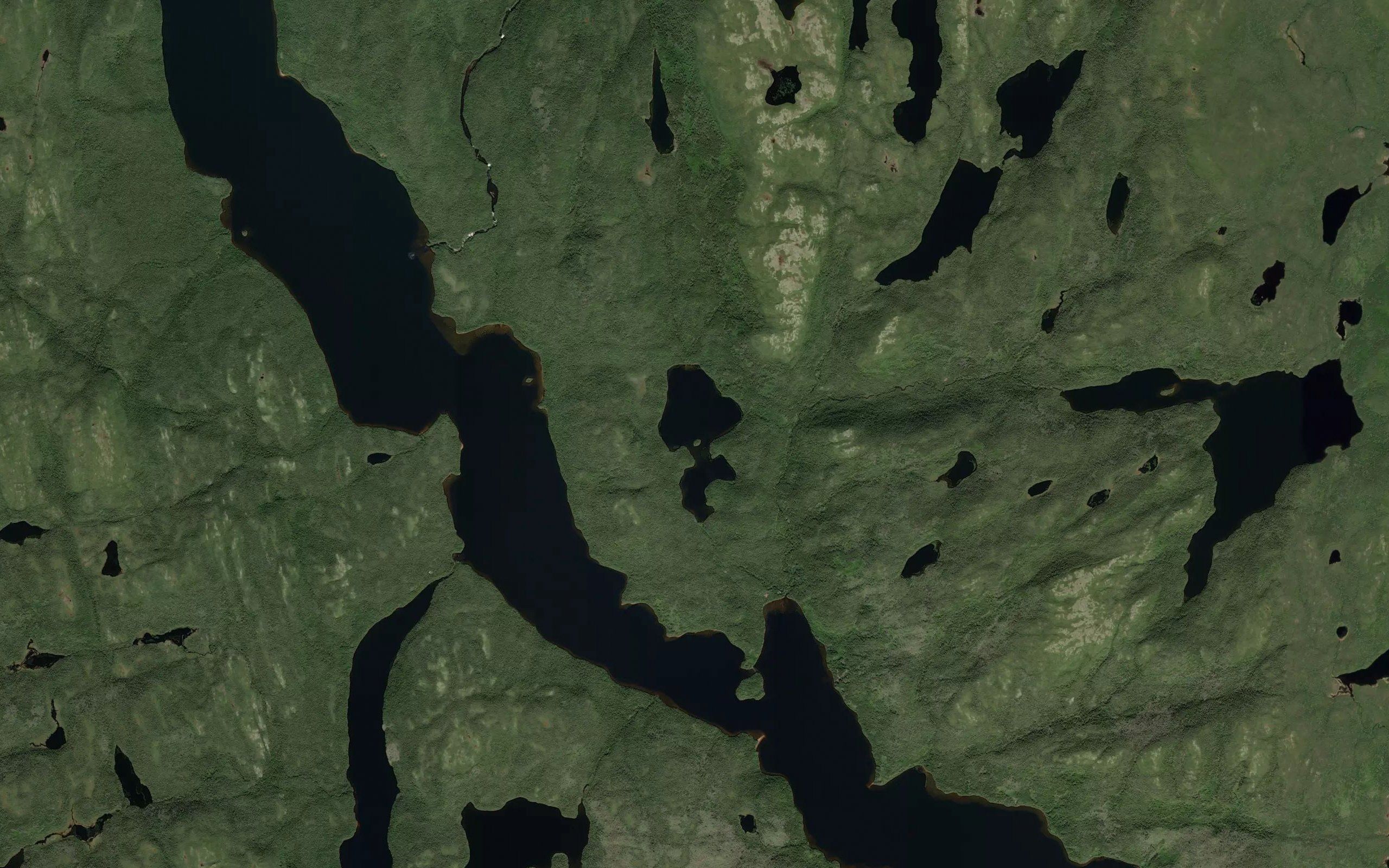 Lac Porcupine