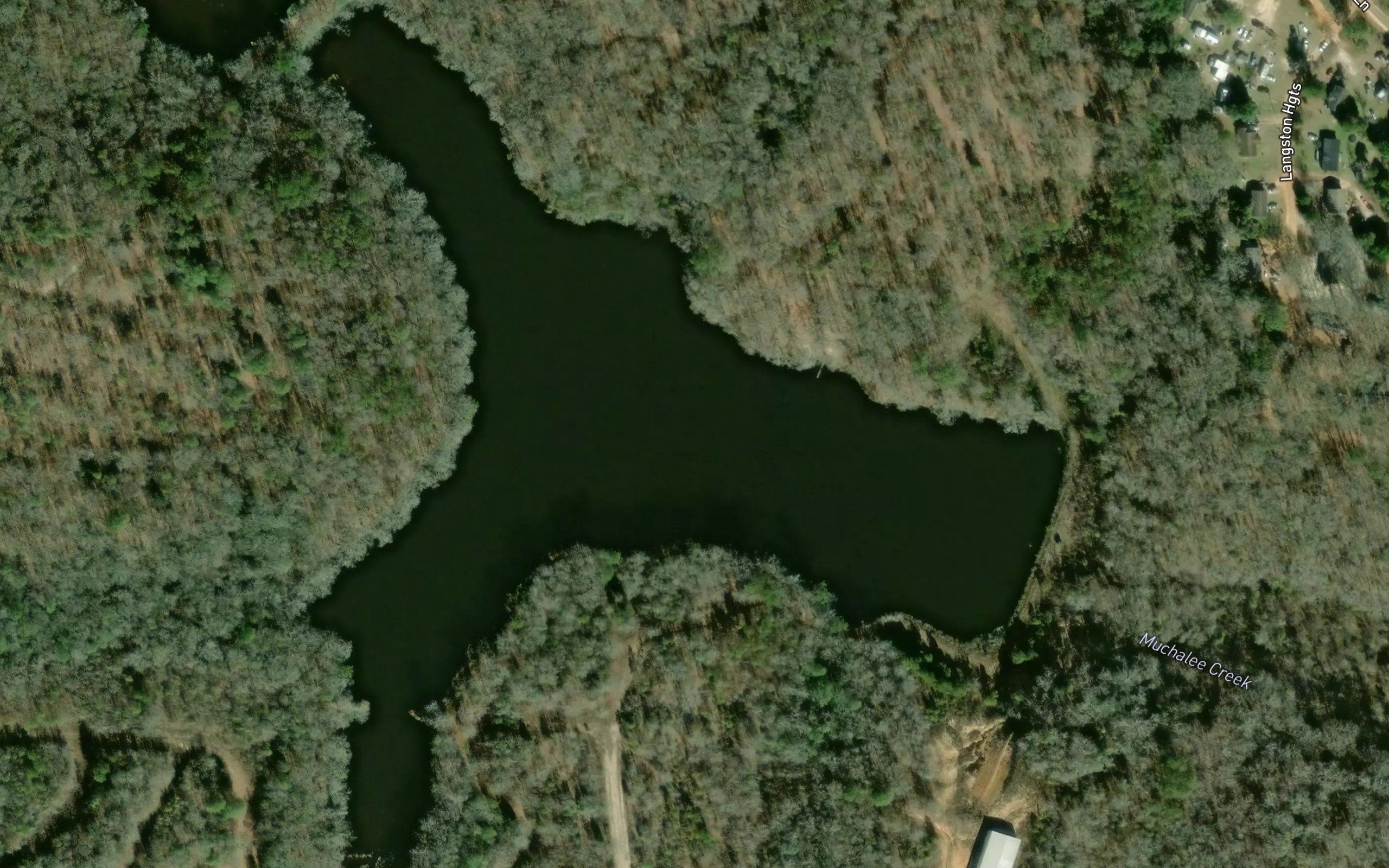 Lower Walker Williams Lake