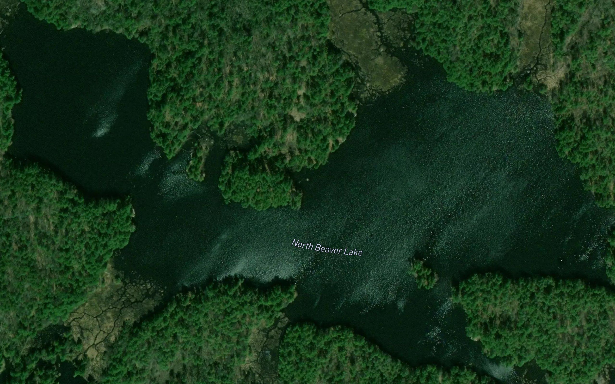 North Beaver Lake