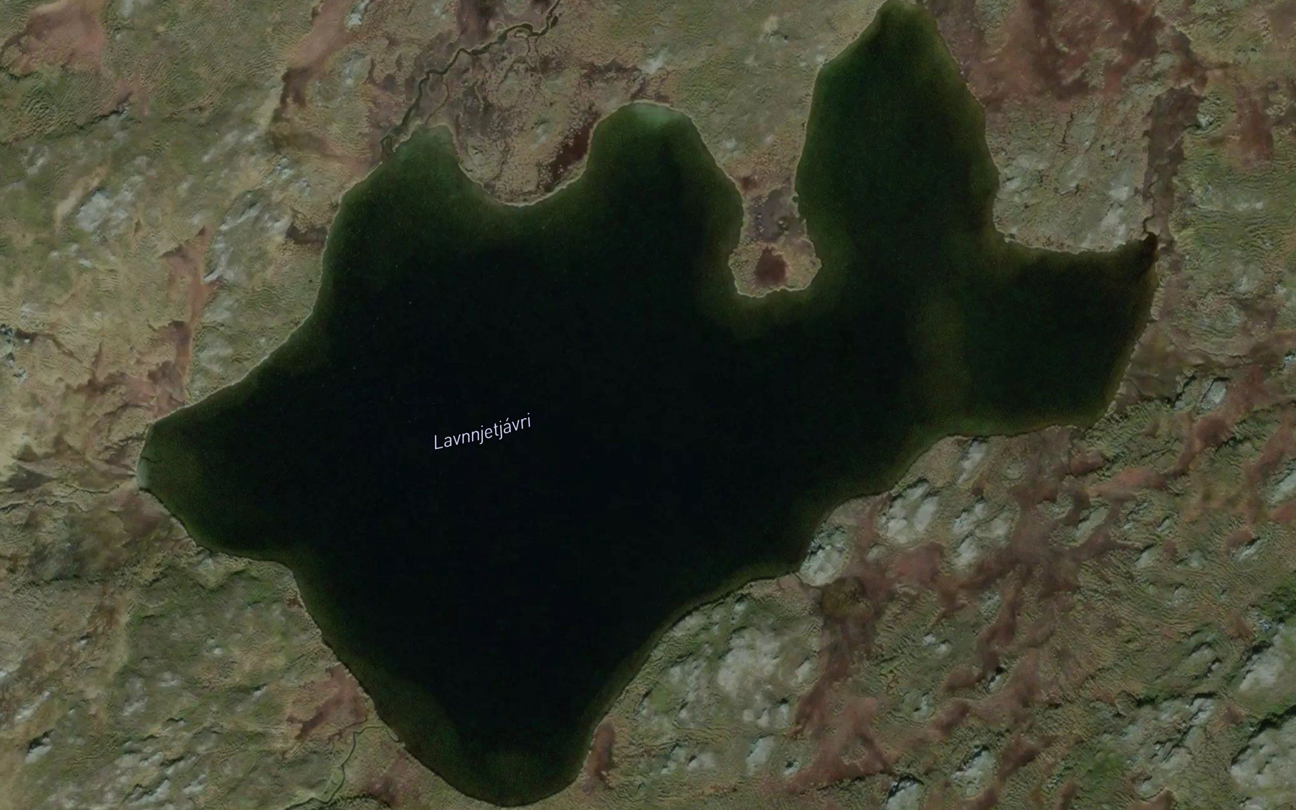 Lavnjetjavri