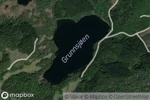 Grunnsjoen