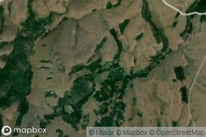 Thoroughbred Pond Spring