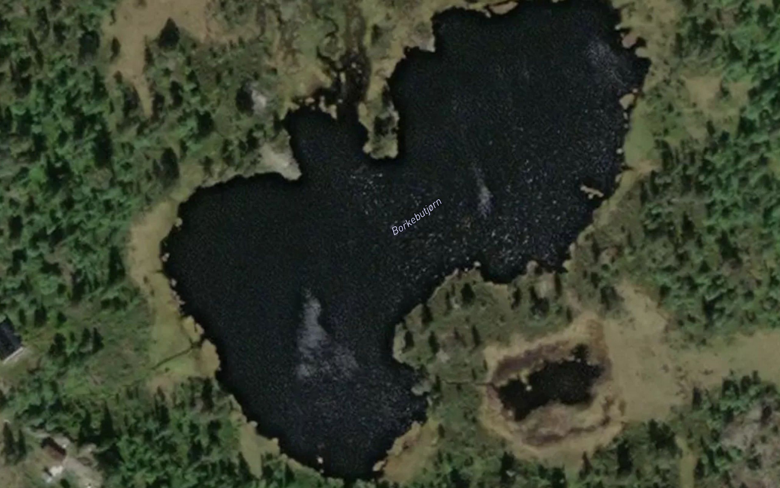 Borkebutjorn