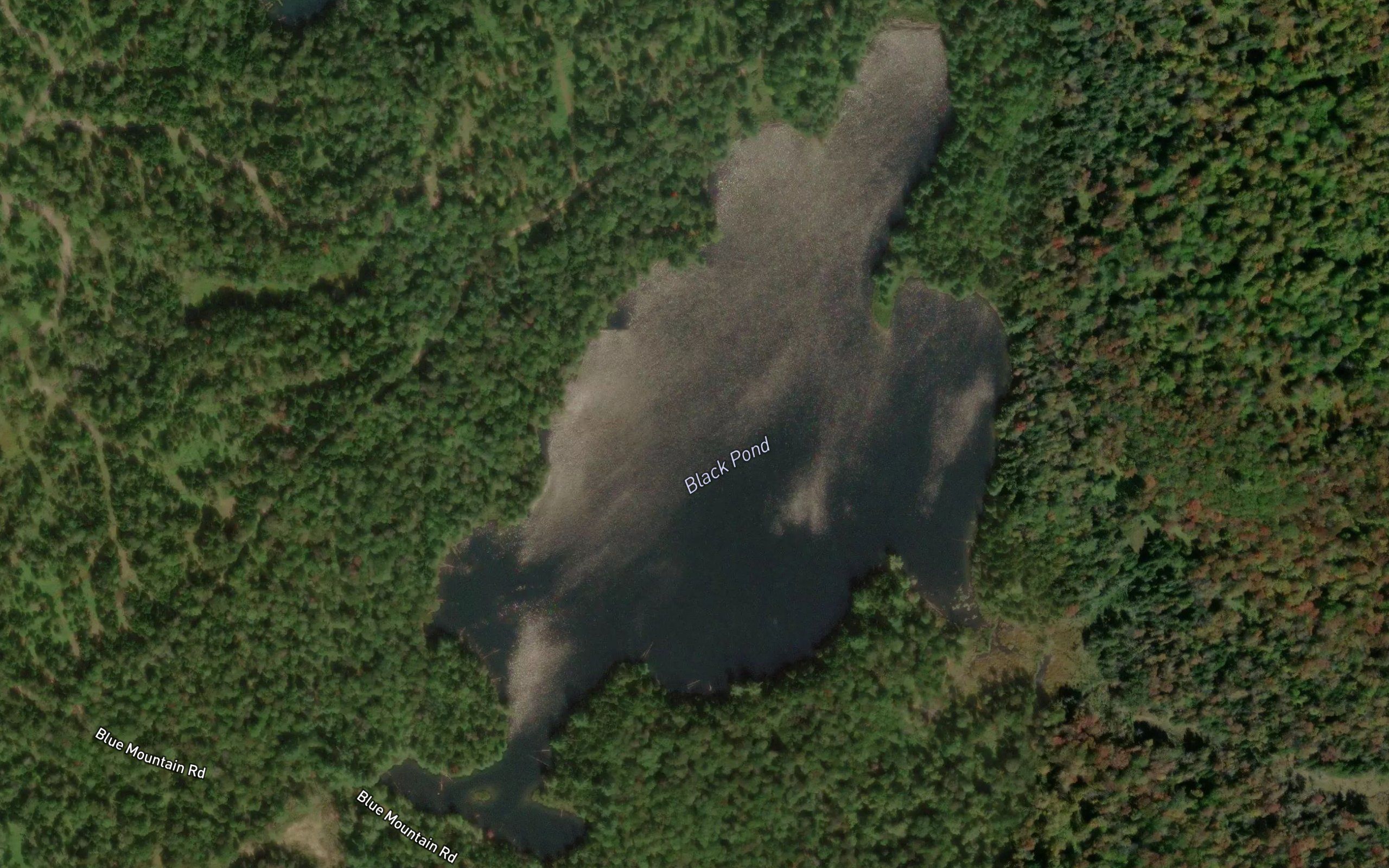 Black Pond