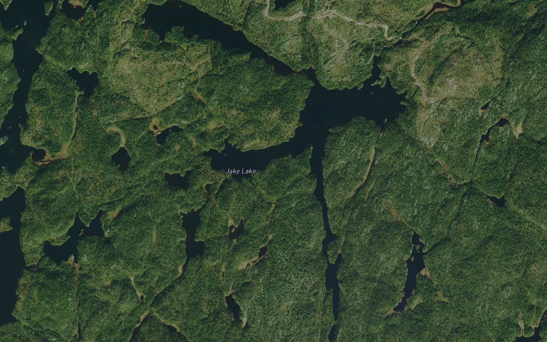 Satellite map of the Jake Lake