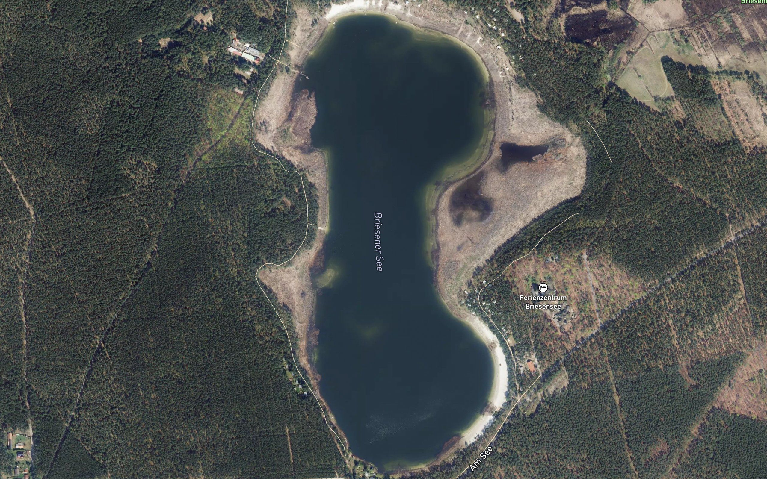 Briesener See