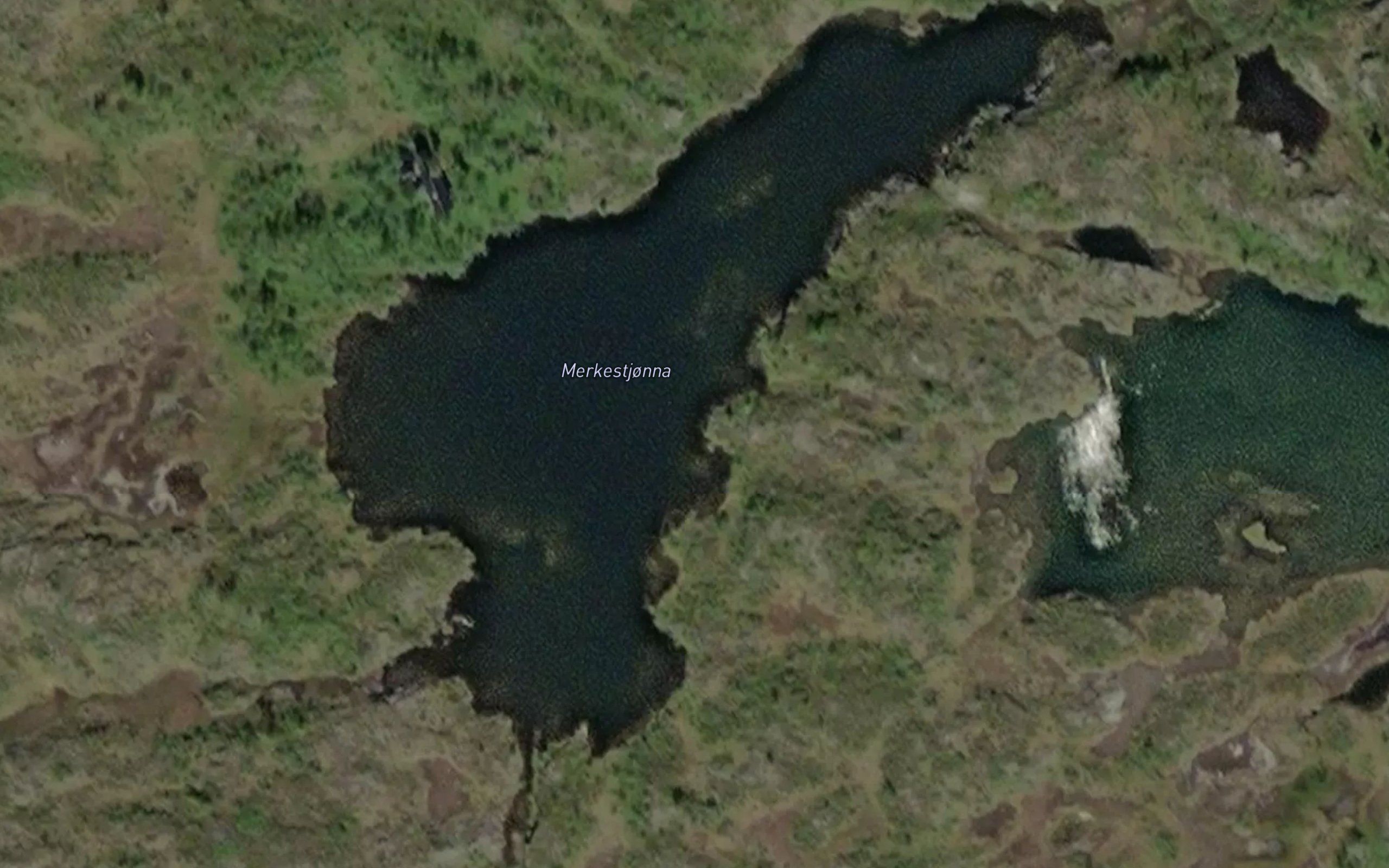 Merkestjorna