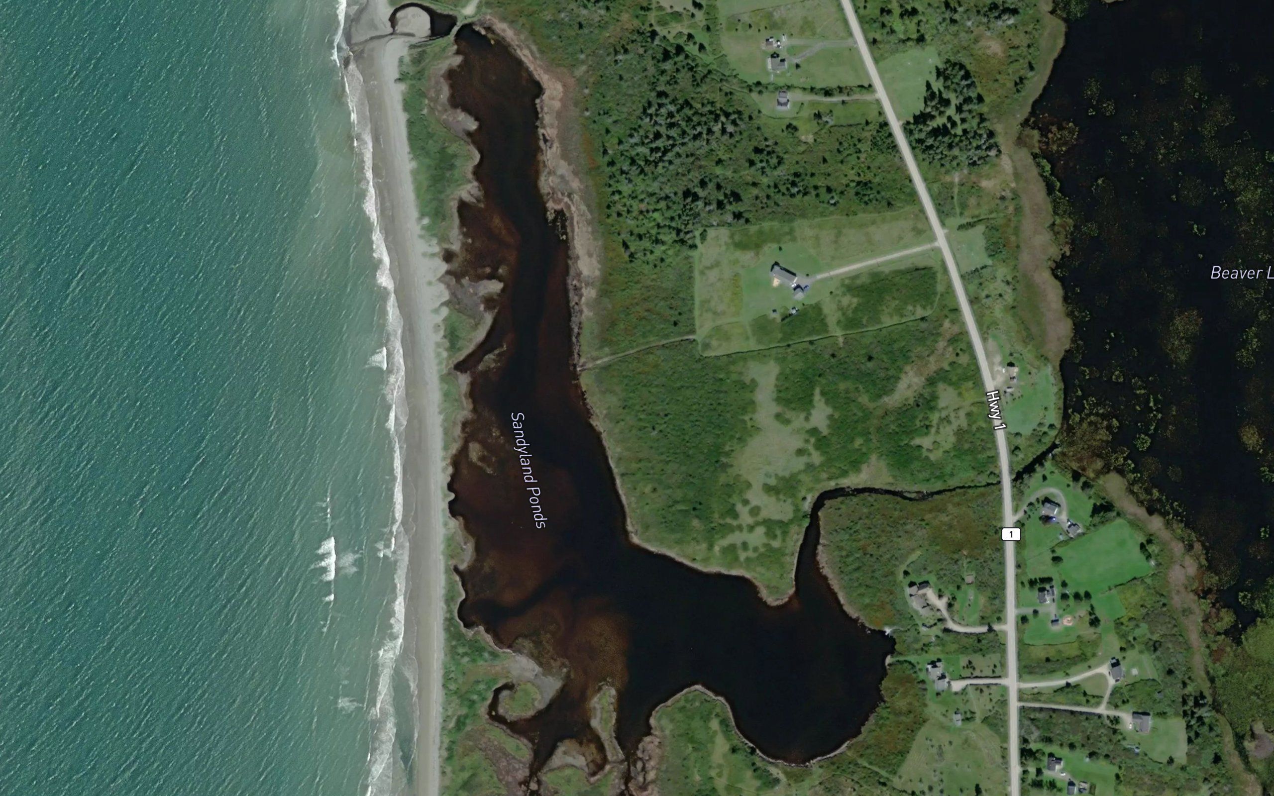 Sandyland Ponds