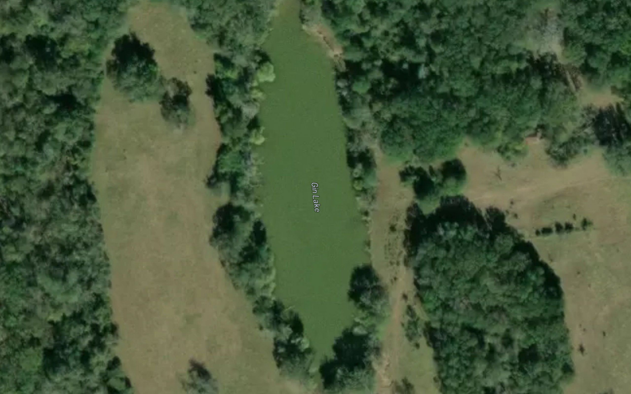 Gin Lake