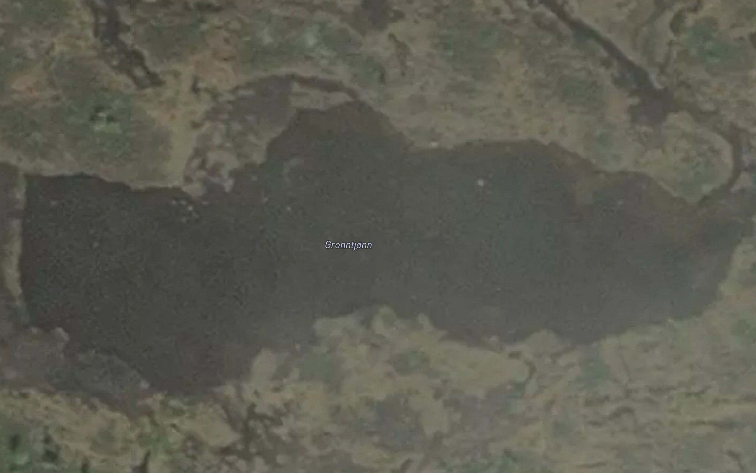 Gronntjonn