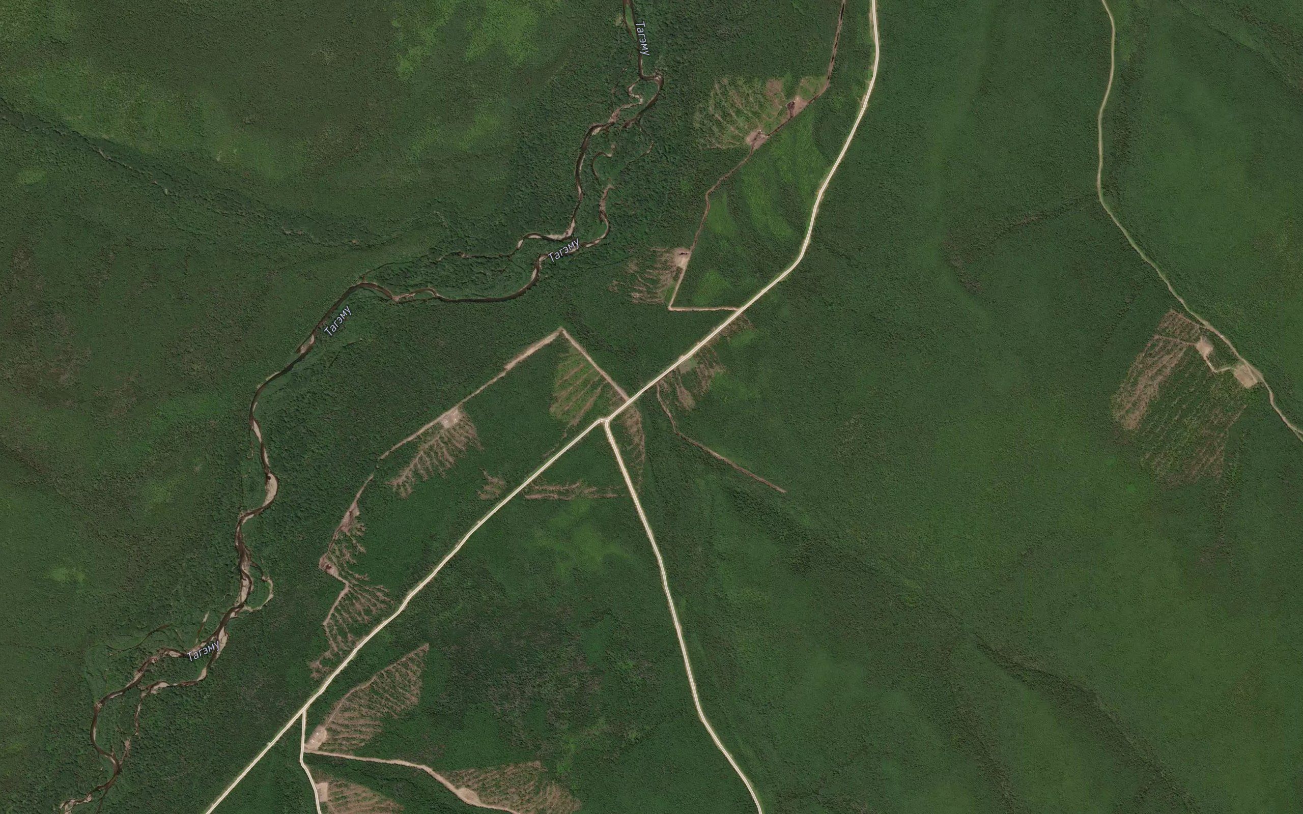 Tondola-Bogoni