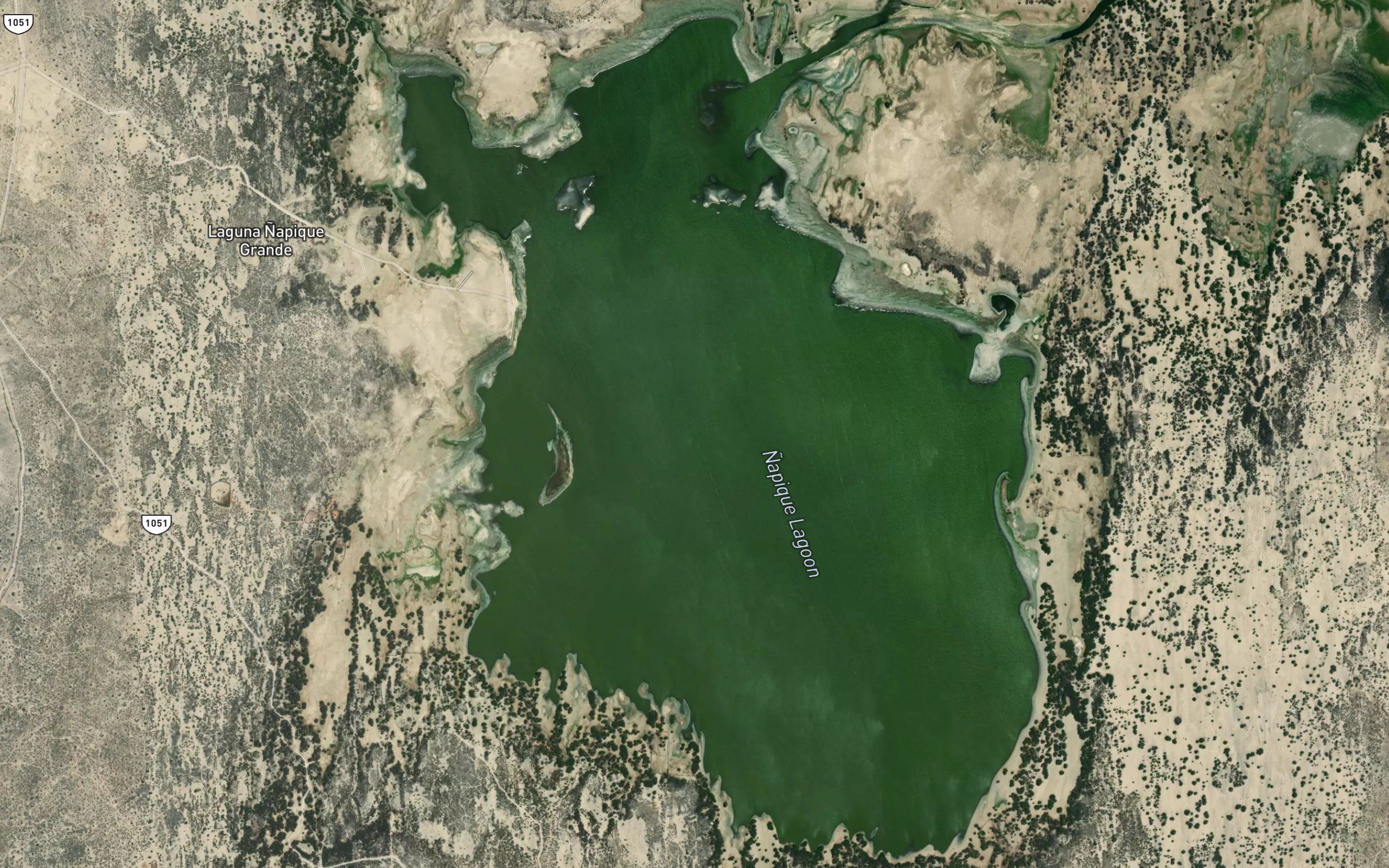 Laguna Napique Grande