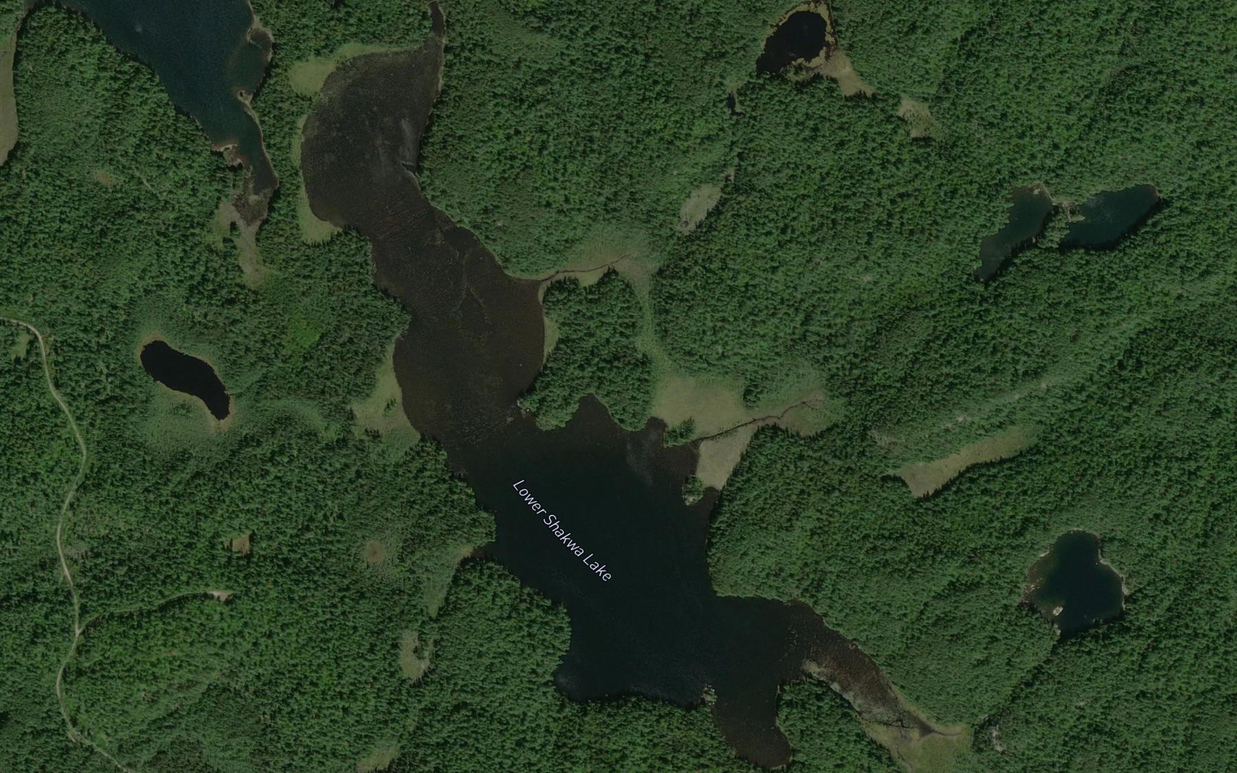 Satellite map of the Lower Shakwa Lake