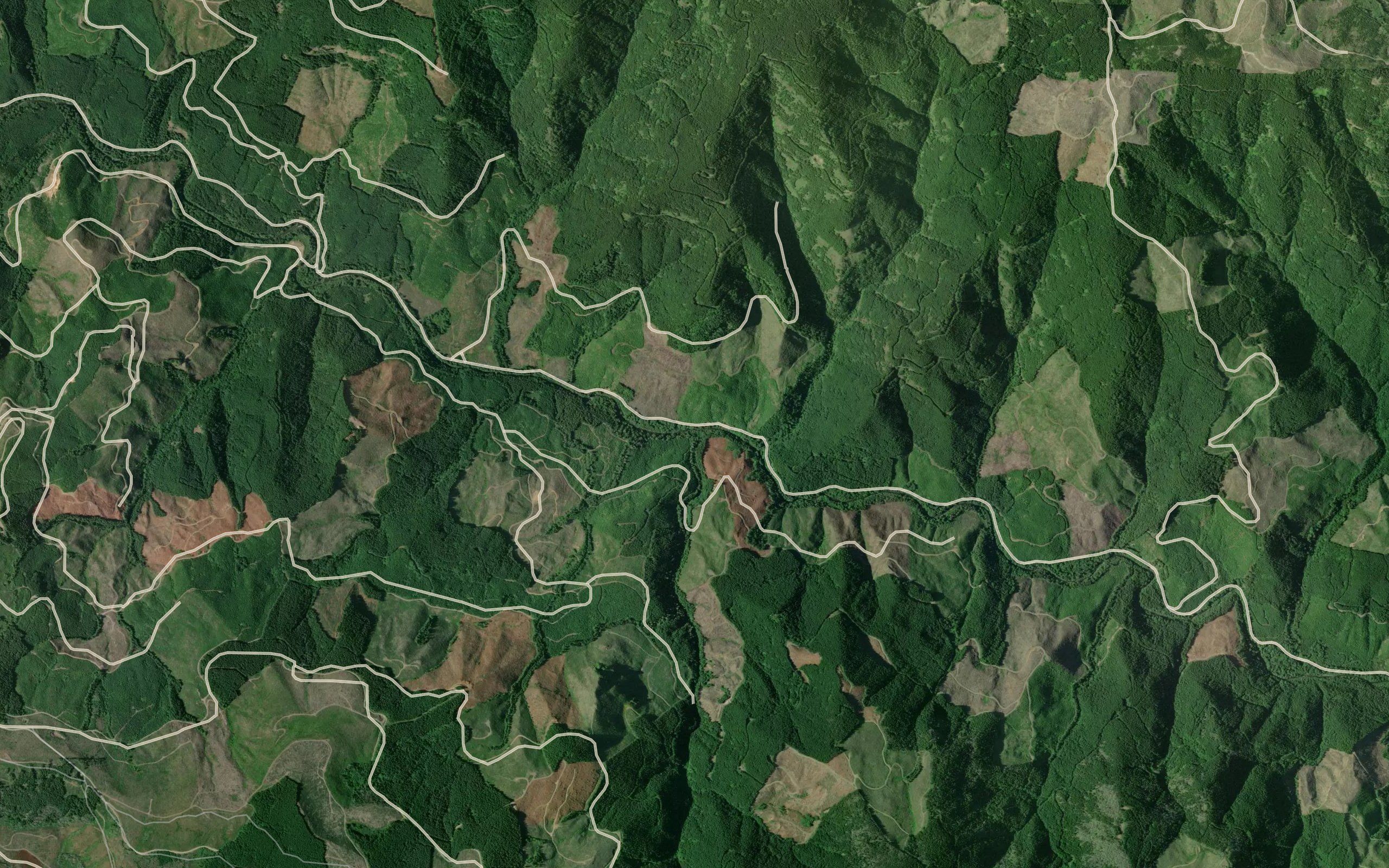 McKinley Creek