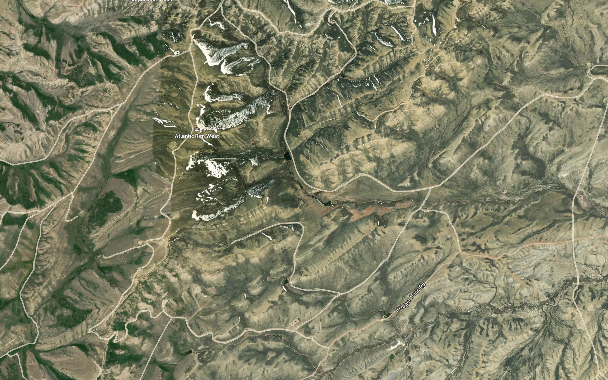 Beckman Spring
