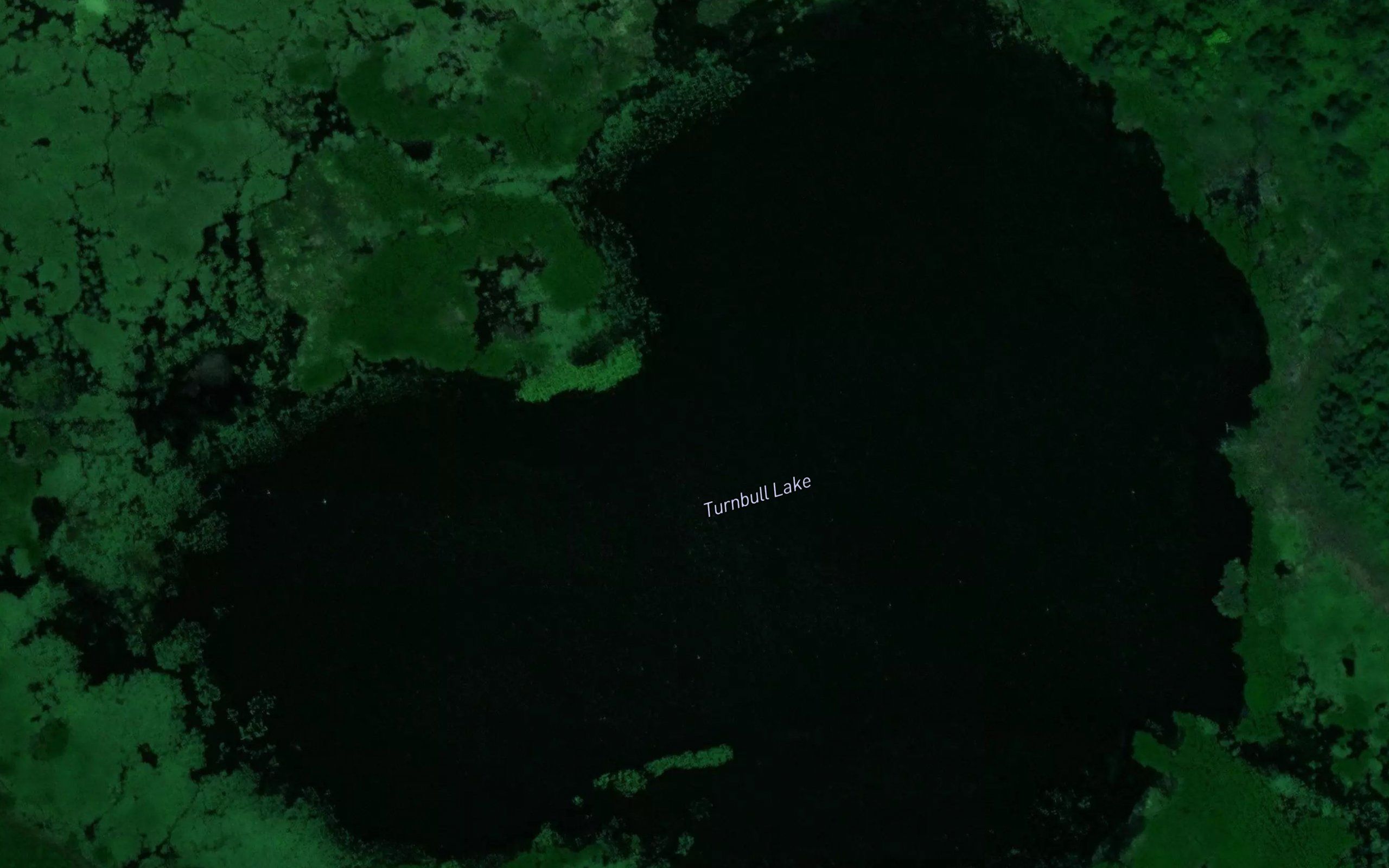 Turnbull Lake