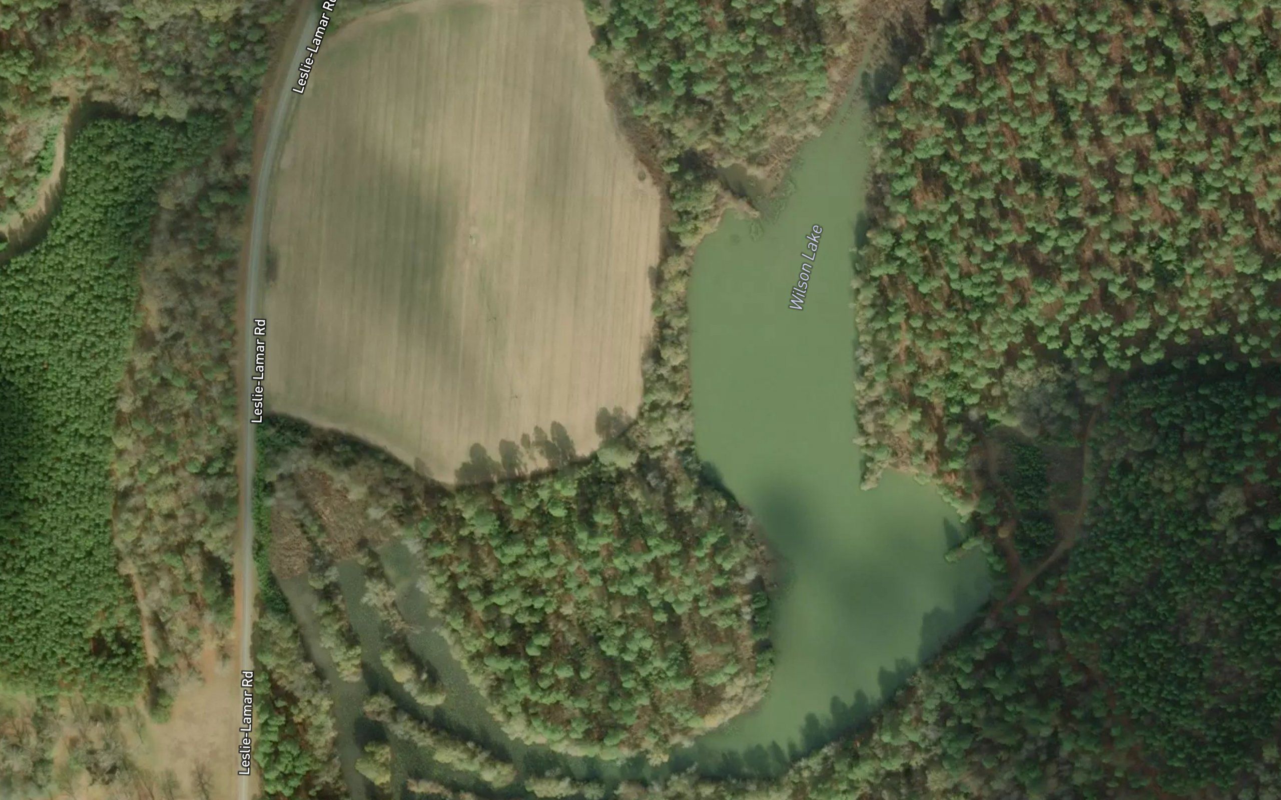 Wilson Lake