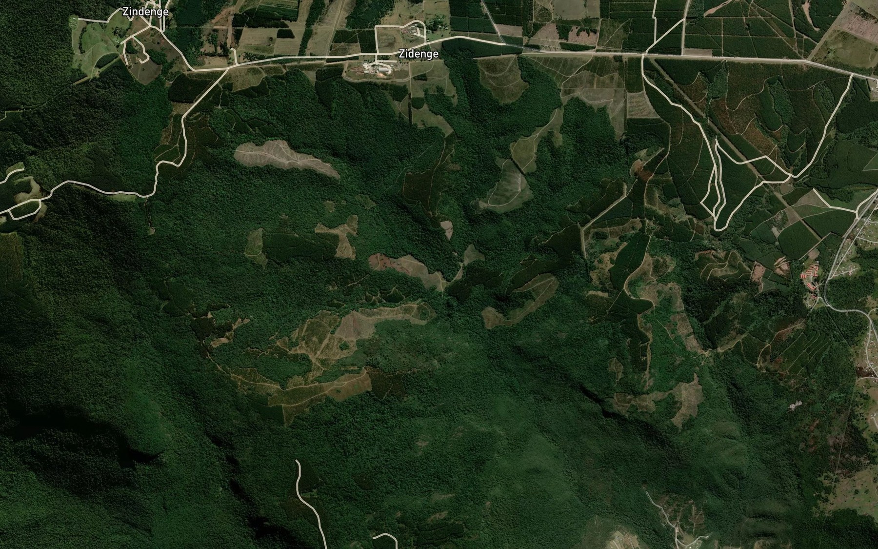 Satellite map of the Igojini