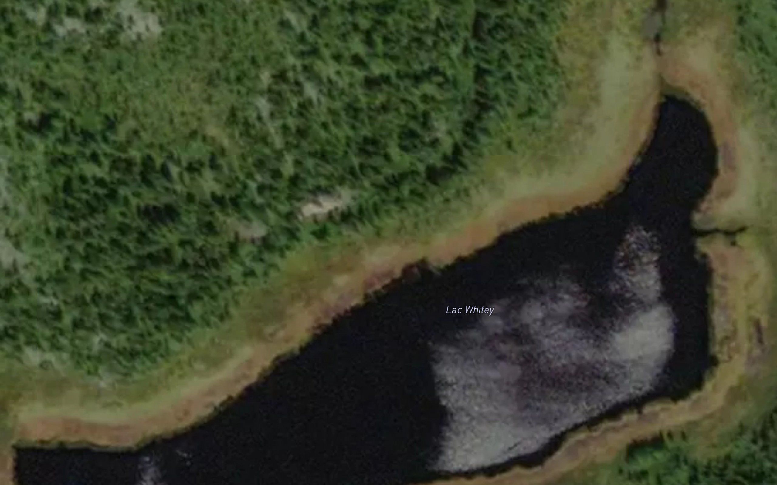 Lac Whitey