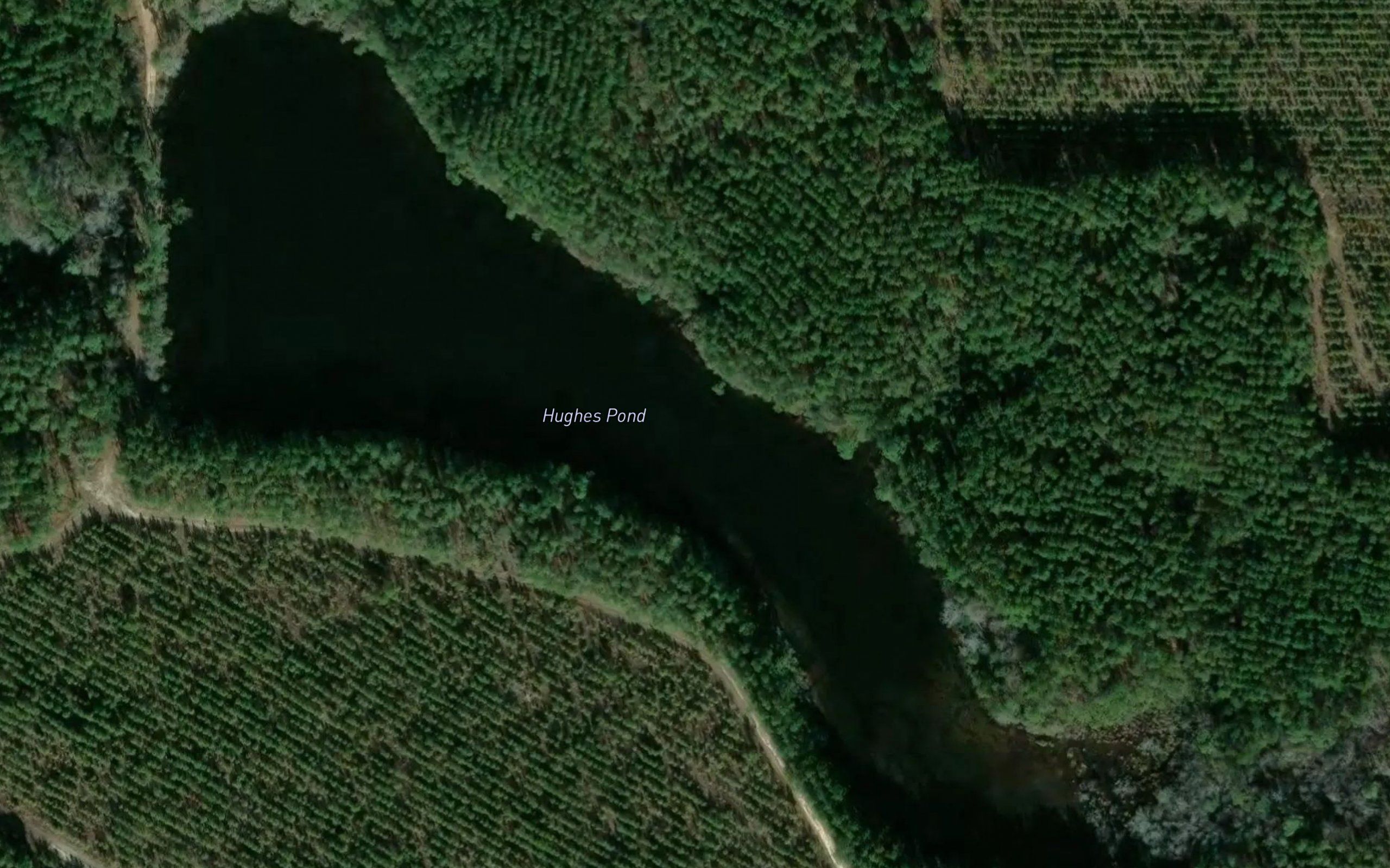 Hughes Pond