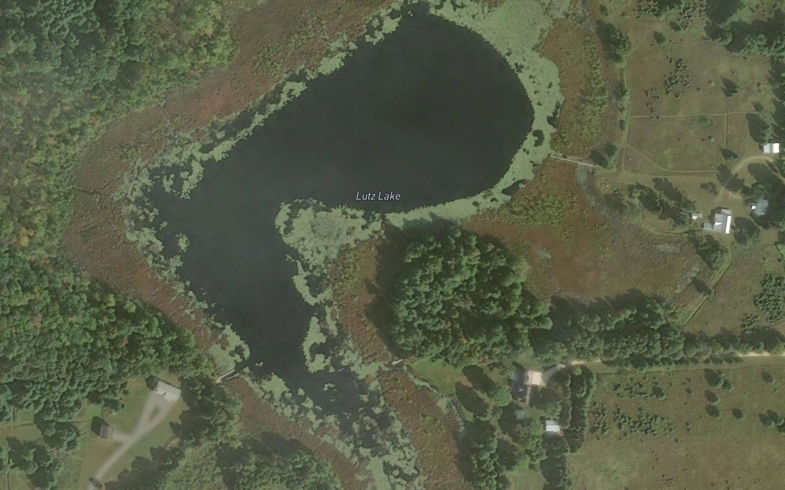 Lutz Lake