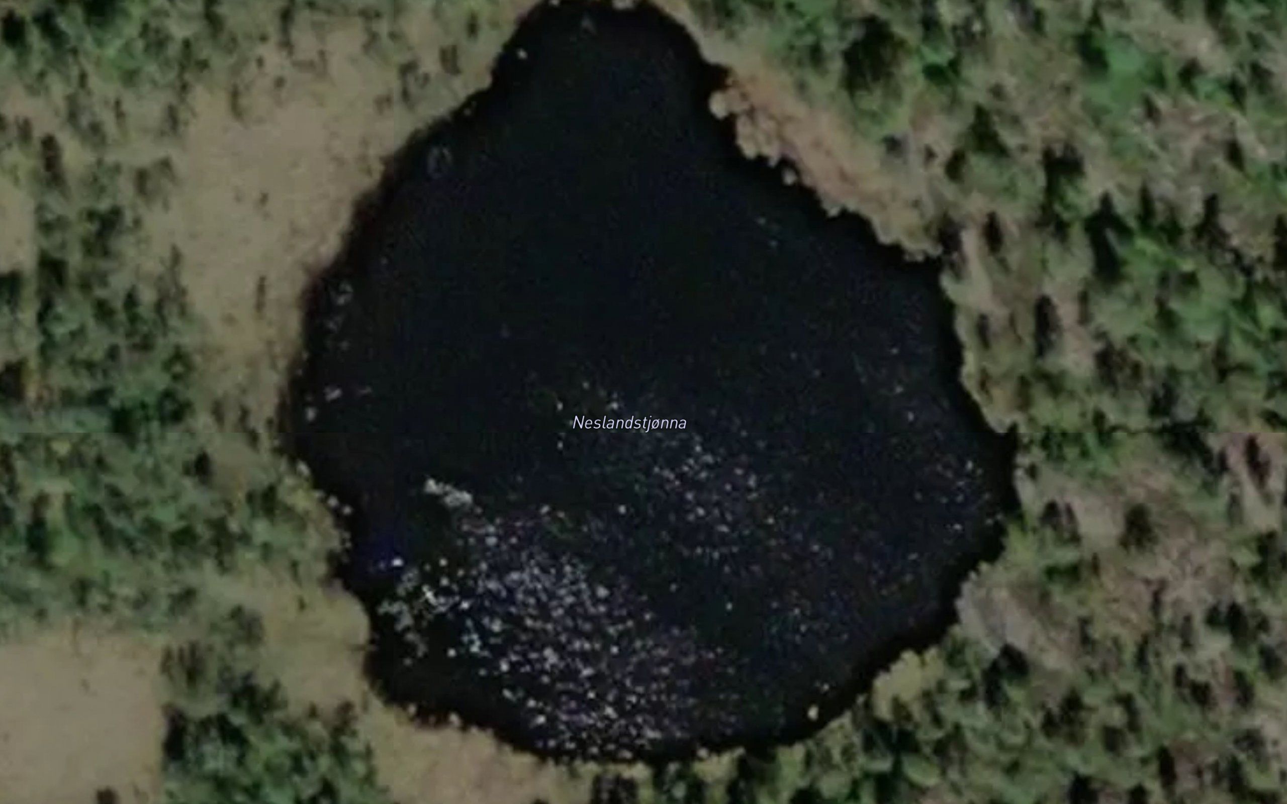 Neslandstjorni